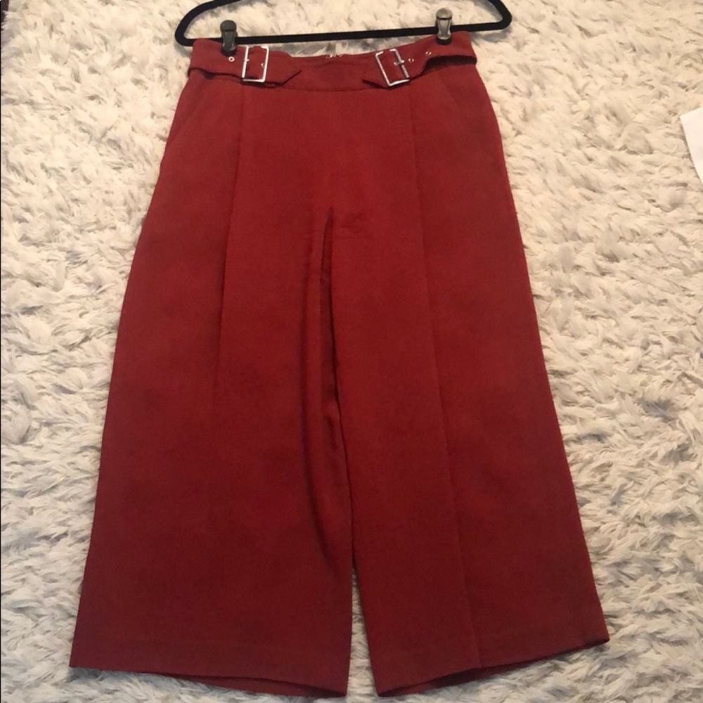 ALC gaucho pant, great condition!